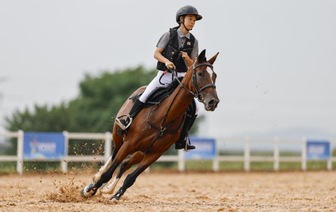 Riding at Lightning Speed, Guarding Every Passion – Discovering the Extraordinary Charm of High-End Equestrian Helmets