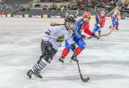 Ice Hockey Helmet